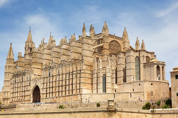 Palma de Mallorcas katedral — Stockfoto