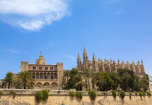 Katedra w Palma de Mallorca — Zdjęcie stockowe