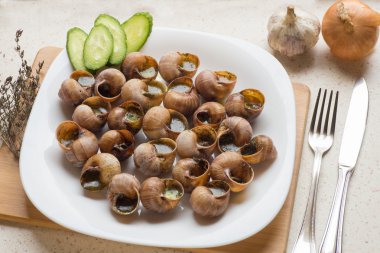 Pişmiş salyangoz (salyangoz) - geleneksel Portekiz sn Üstten Görünüm