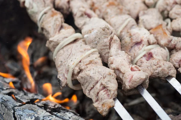 Kebabs on skewers cooked on the coals bbq fire — Stock Photo, Image