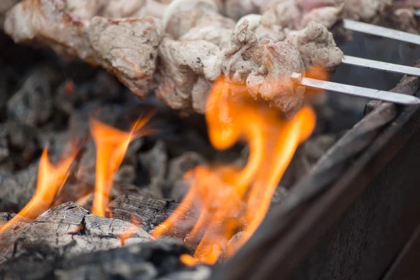 Kebabs on skewers cooked on the coals bbq fire — Stock Photo, Image