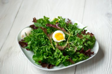 Taze karışık yeşil salata