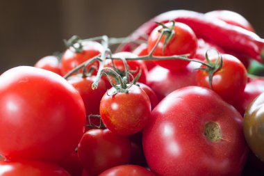 Domates farklı türde. Yan görünüm.