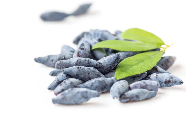 Beeren von Geißblatt isoliert auf weißem Hintergrund — Stockfoto