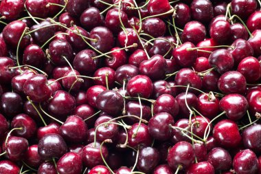 Kiraz arka plan, kiraz toplama