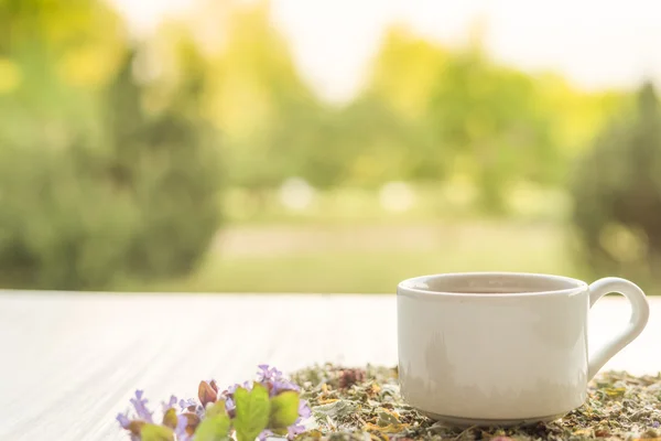 Xícara de chá na mesa com ervas — Fotografia de Stock