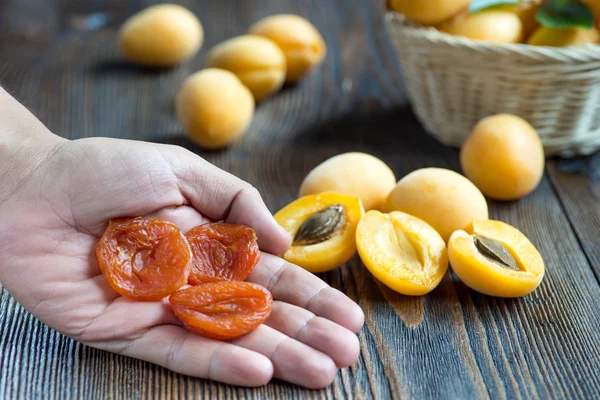 Hand med torkade aprikoser — Stockfoto