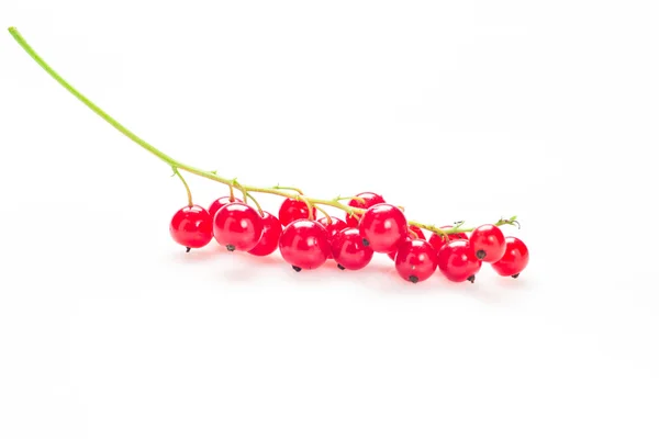 Ribes rosso isolato su fondo bianco — Foto Stock