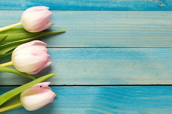 Tulpen met plaats voor tekst — Stockfoto