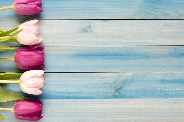 Tulipani con posto per testo — Foto Stock