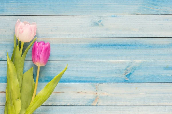 Tulips with place for text — Stock Photo, Image