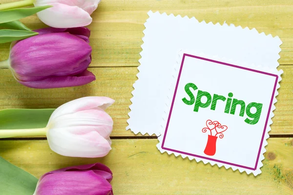 Spring tulips and card — Stock Photo, Image