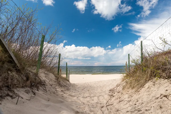 Trail leading through sand to beach — Stock Photo, Image