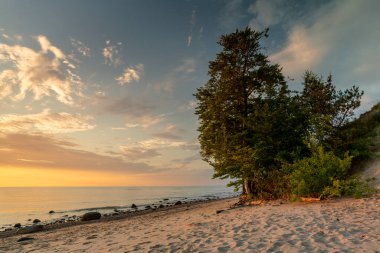 Denizin üzerindeki manzara. Kum, sahil ve deniz. Baltık Denizi manzarası. 