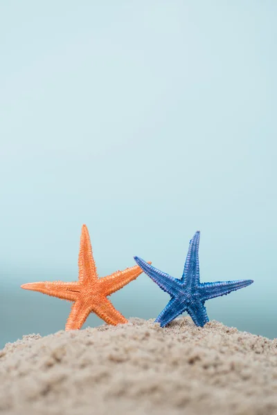 Starfishes em areia molhada — Fotografia de Stock