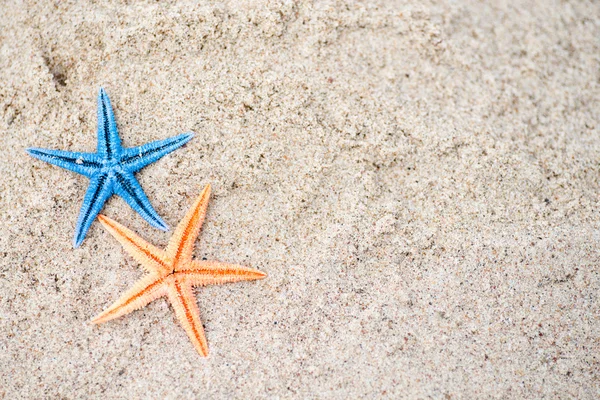 在湿的沙滩上的海星 — 图库照片