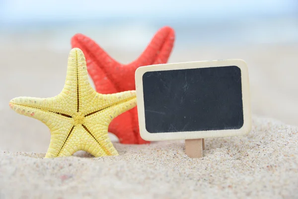 Starfish with sea shell and label — Stock Photo, Image