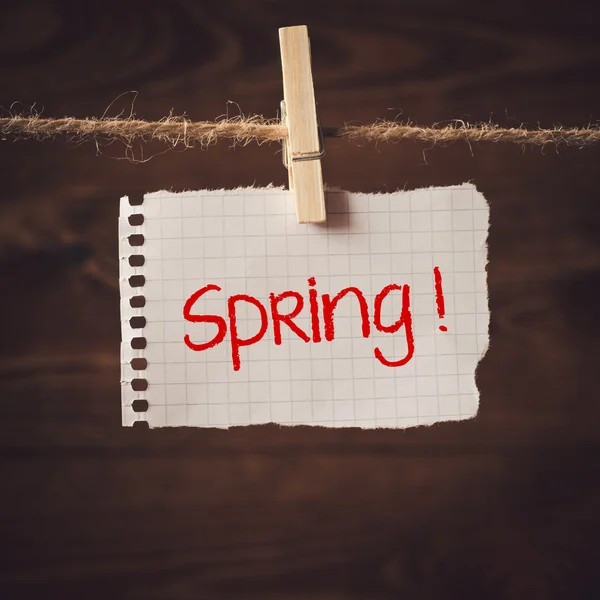 Spring symbol — Stock Photo, Image