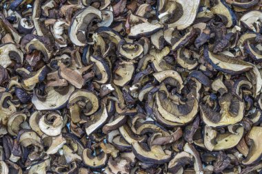 Boletus mantar kurutulmuş.