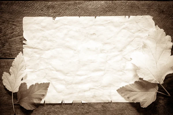 Eski kağıt ve sonbahar yaprakları — Stok fotoğraf