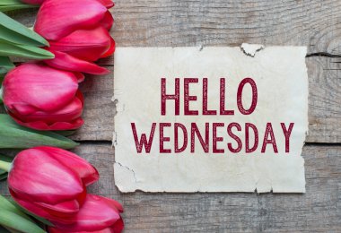 Tulips and paper with text Hello Wednesday clipart