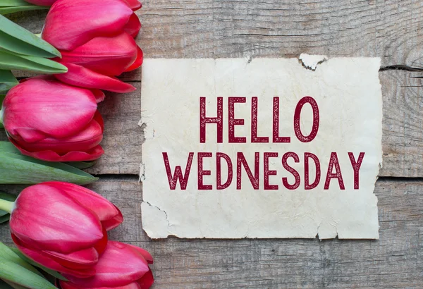 Tulipanes y papel con texto Hello Wednesday — Foto de Stock