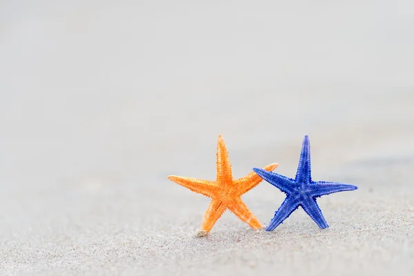 Spiaggia stelle del mare — Foto Stock