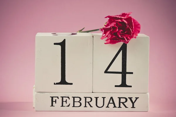14 febbraio con fiore di garofano — Foto Stock