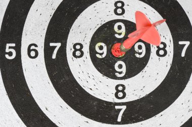 Hedef merkezde dart oku