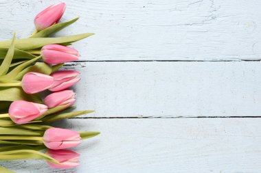 Beautiful pink Tulips clipart