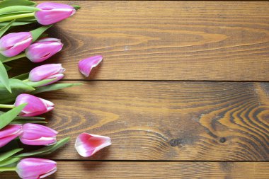 güzel pembe laleler