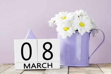 8 Mart arka plan ile camomiles