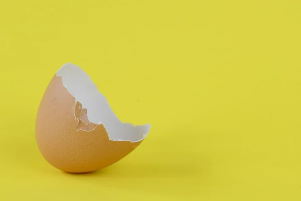 Broken and cracked egg shell — Stock Photo, Image