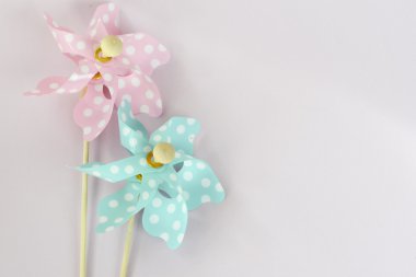 İki sevimli pinwheels