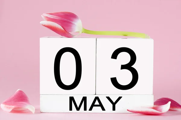 3 maja z różowe tulipany — Zdjęcie stockowe