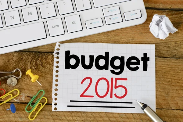 Budget 2015 Signer avec stylo — Photo