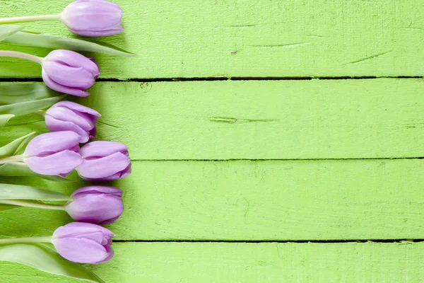 Hermosos tulipanes violetas —  Fotos de Stock