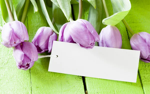 Tulipanes violeta con etiqueta de papel — Foto de Stock
