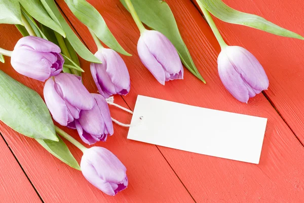 Violet tulpen met papier tag — Stockfoto