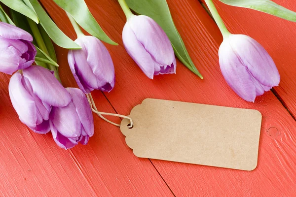 Tulipas violetas com etiqueta de papel — Fotografia de Stock