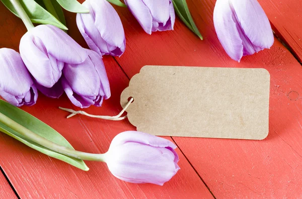 Tulipes violettes avec étiquette en papier — Photo