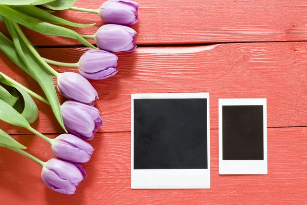 Tulipani e cornici fotografiche — Foto Stock