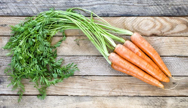 Fresh carrots bunch — Stock Photo, Image