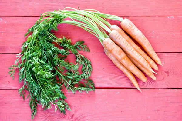 Fresh carrots bunch — Stock Photo, Image
