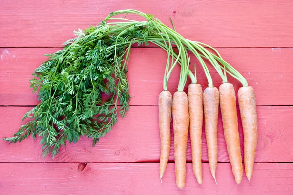 Свіжа морква букет — стокове фото