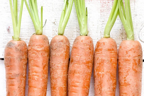 Fresh carrots bunch — Stock Photo, Image