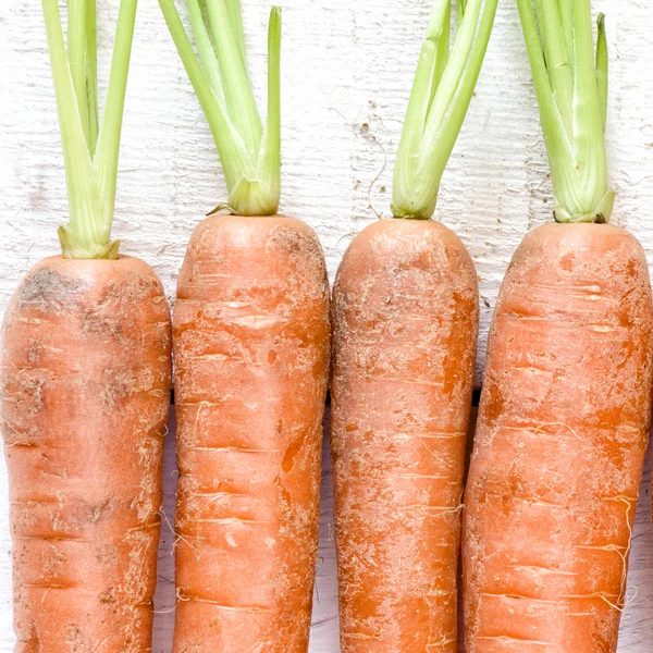 Fresh carrots bunch — Stock Photo, Image