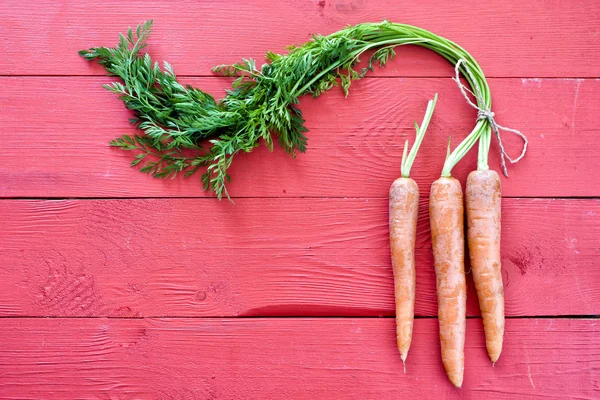 Manojo de zanahorias frescas — Stockfoto