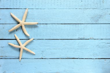 ahşap zemin üzerinde deniz yıldızı