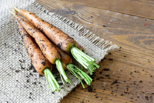 Verse wortelen groenten — Stockfoto